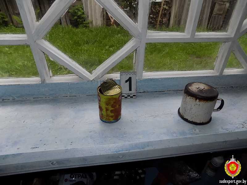 Банка оливок помогла раскрыть кражу в Быховском районе