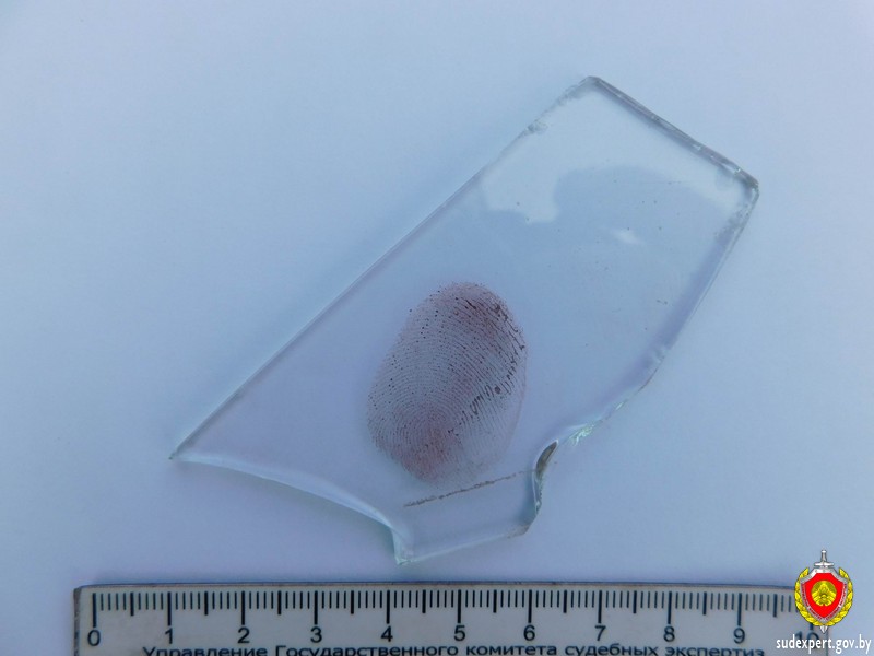 Житель Дрибинского района угнал автомобиль у соседа