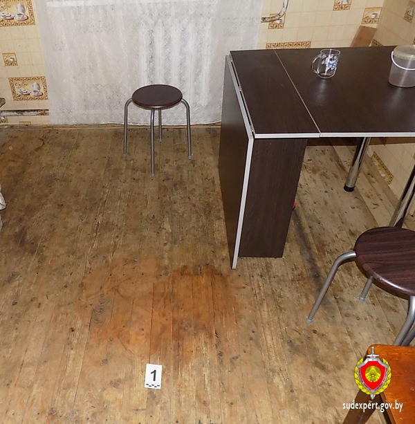 Двухлетний ребенок в Кличевском районе попал в реанимацию после отравления неизвестной жидкостью