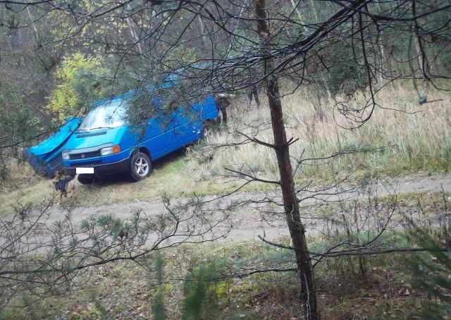 Еще один нарушитель задержан в лесу, благодаря фотоловушке