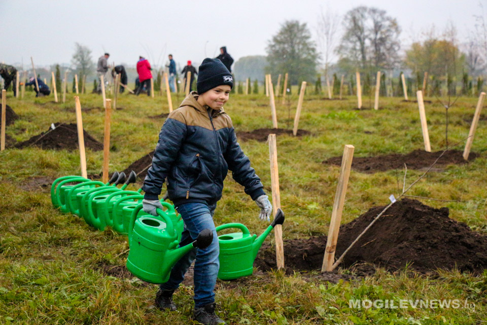 Саженцы плодовых деревьев высадили во время субботника в Могилеве. Фото