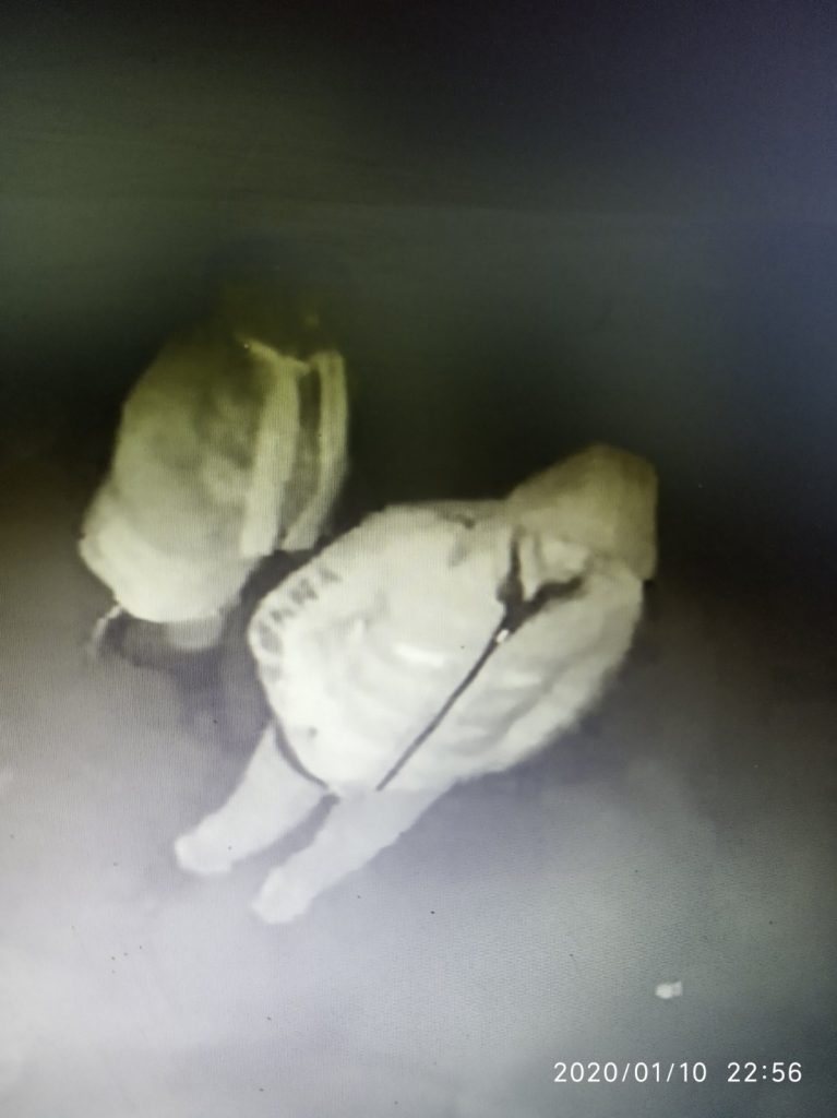 Двое жителей Кричева похитили сумку из «Фольксвагена»