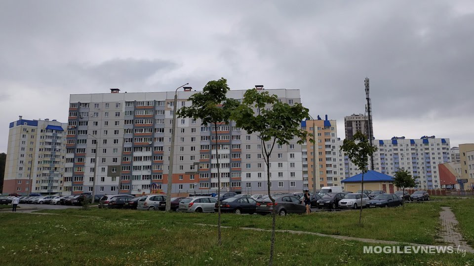 Процент озеленения населенных пунктов в некоторых районах Могилевской области превышает нормативный