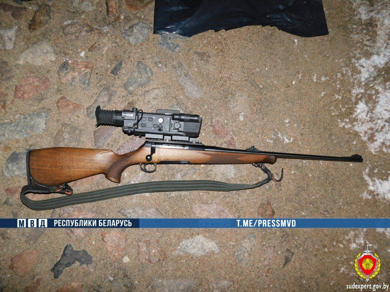 ​Тушу косули в багажнике джипа обнаружили сотрудники ГАИ Бобруйского РОВД