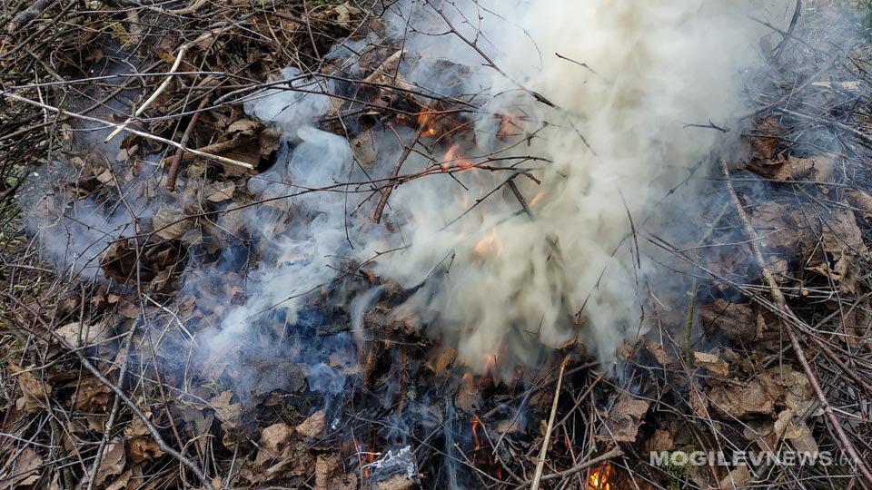 Режим повышенной готовности введен в Могилеве из-за пожаров мусора и сухой травы