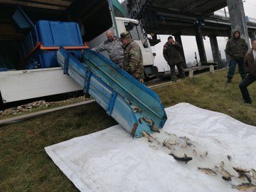 Около 3 т рыбы выпустили в Чигиринское водохранилище, озера Курманово и Печерское