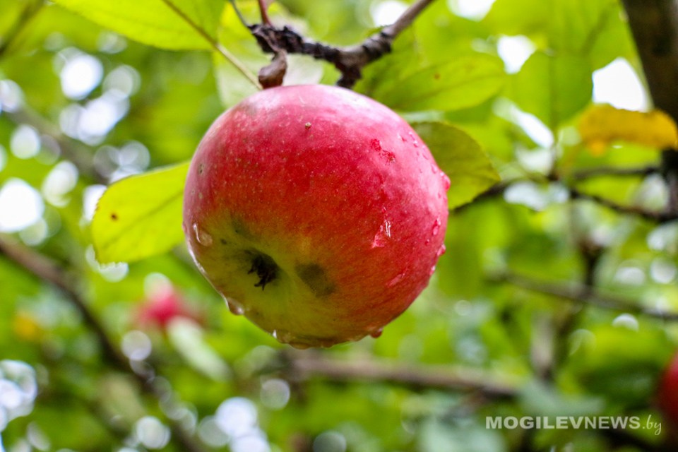 Погода на выходные: кратковременные дожди и до +23°С