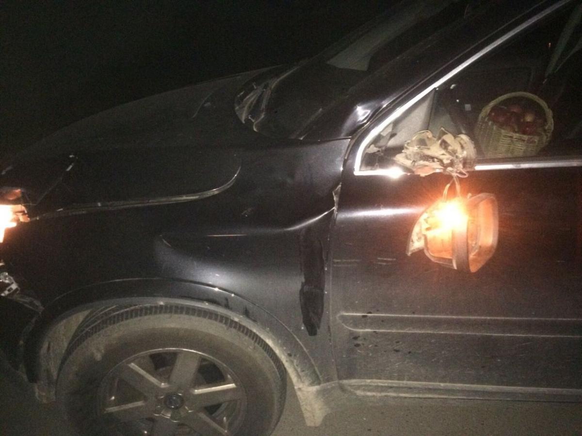 Volvo в Могилевском районе насмерть сбил пенсионерку
