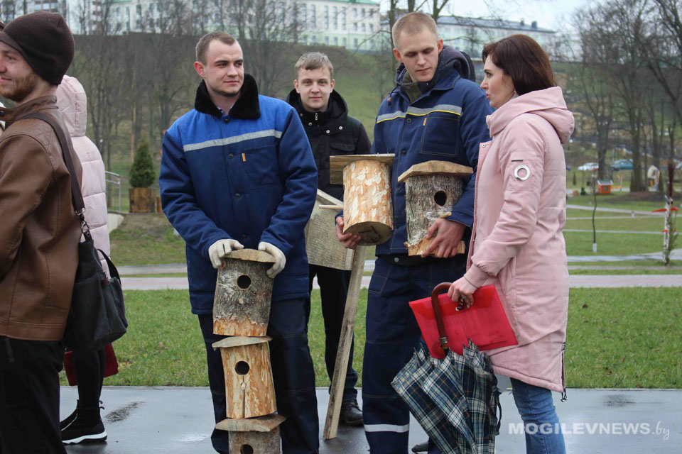 В парке Подниколья создали «Птичий городок» из 25 скворечников. Фото
