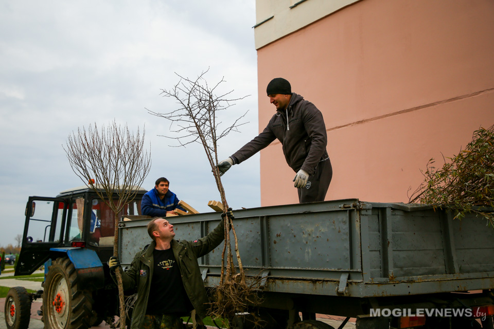 Некоторые работы по благоустройству населенных пунктов освободят от НДС с 1 января 2021 года