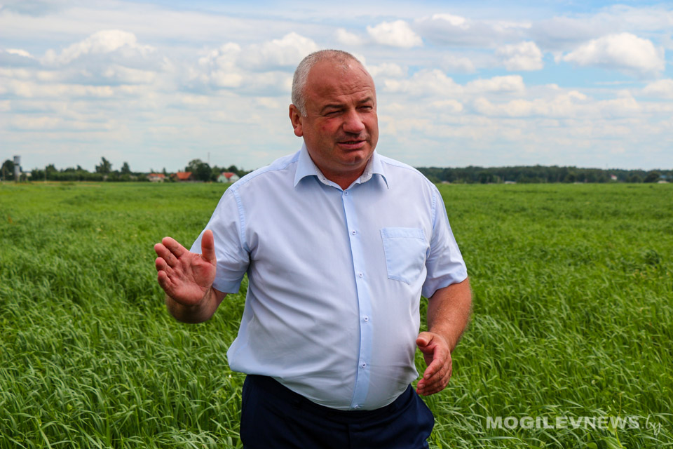 «Новая Друть» выпрямляет русло