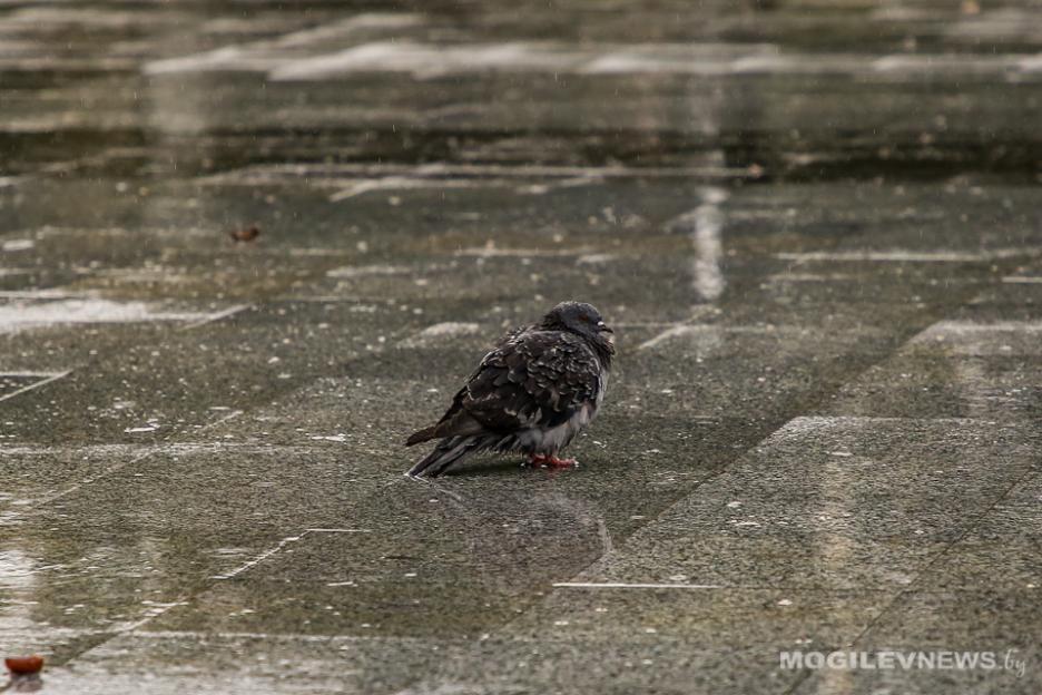 Погода на неделю: в первой половине до -10°С, во второй - до +3°С