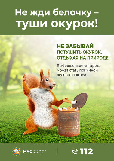 Информационно-пропагандистскую кампанию «Не жди белочку – туши окурок!» запускает МЧС