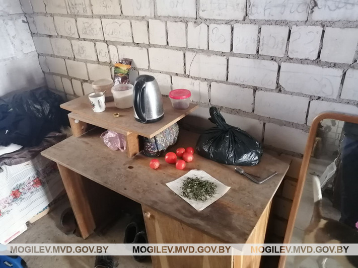Более 360 г марихуаны изъяли у бобруйчанина