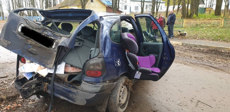 Автомобиль Renault в Шкловском районе врезался в дерево, водитель в больнице
