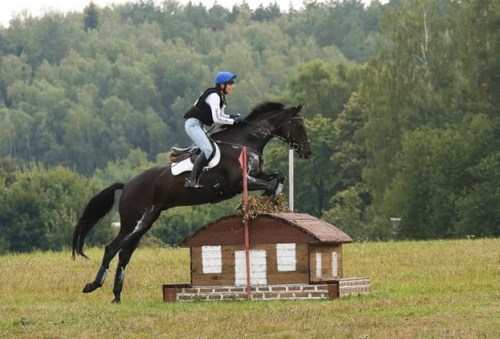 Могилевская всадница стала чемпионкой Беларуси по конному троеборью