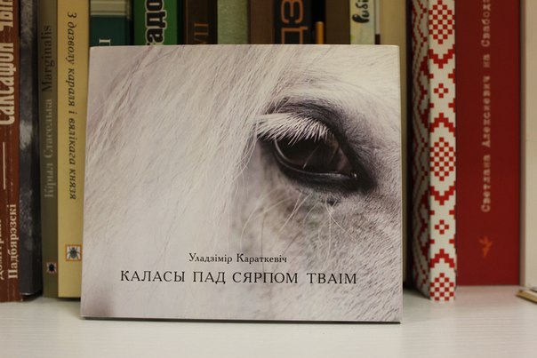 Онлайн-чтение романа Владимира Короткевича «Каласы пад сярпом тваім» организует Государственный музей истории белорусской литературы