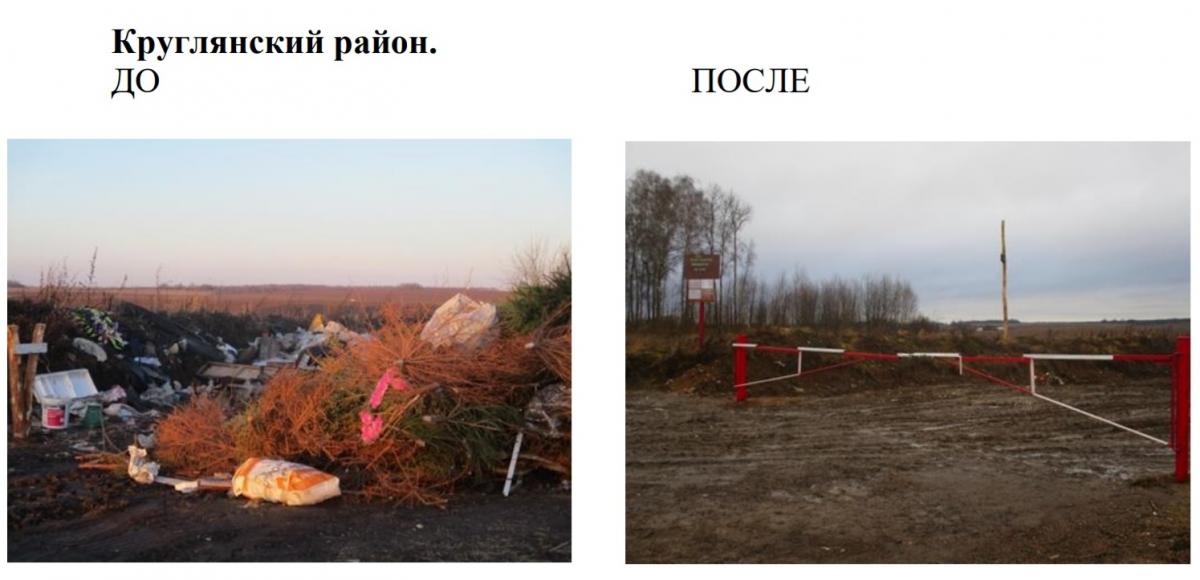 Более 600 нарушений природоохранного законодательства выявлено в Могилевской области в январе. Фото