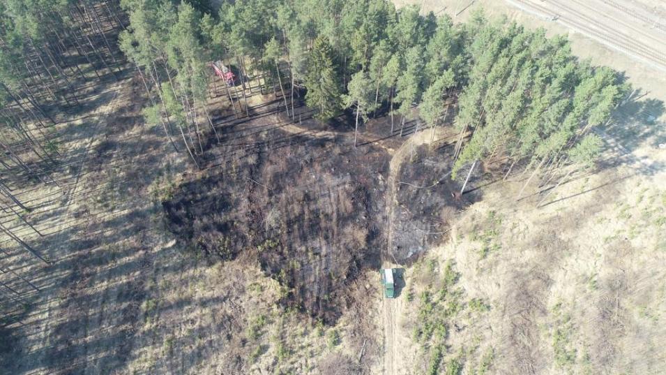 Запрет на посещение лесов в Могилевской области к 10 апреля введен в 5 районах