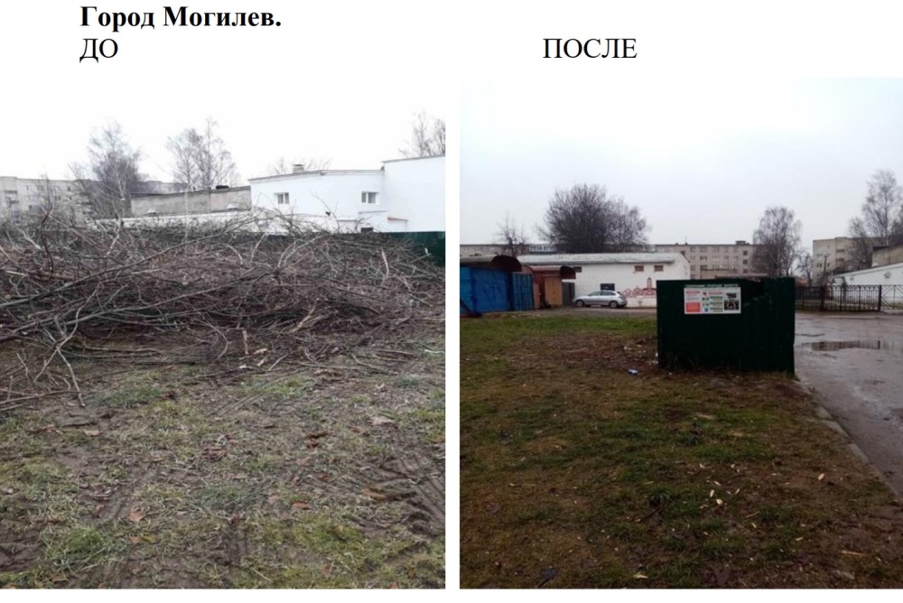 Более 570 нарушений природоохранного законодательства выявил облкомитет природных ресурсов в декабре