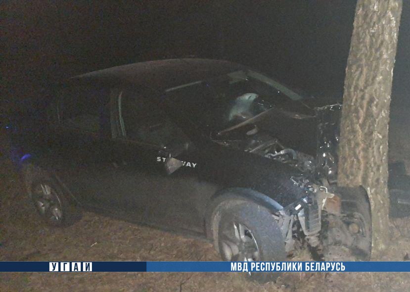 «Рено» врезался в дерево в Могилевском районе