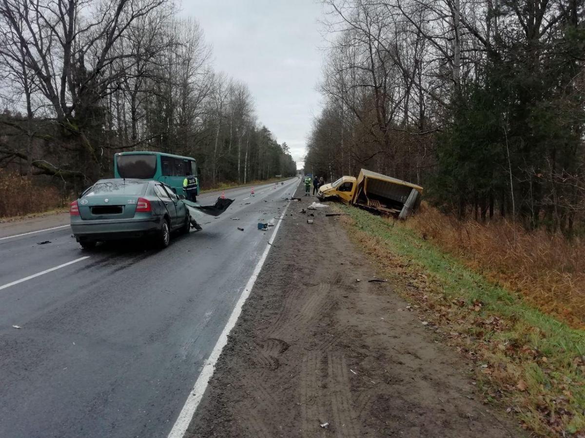 Иномарка и грузовик столкнулись в Чаусском районе, погиб водитель​