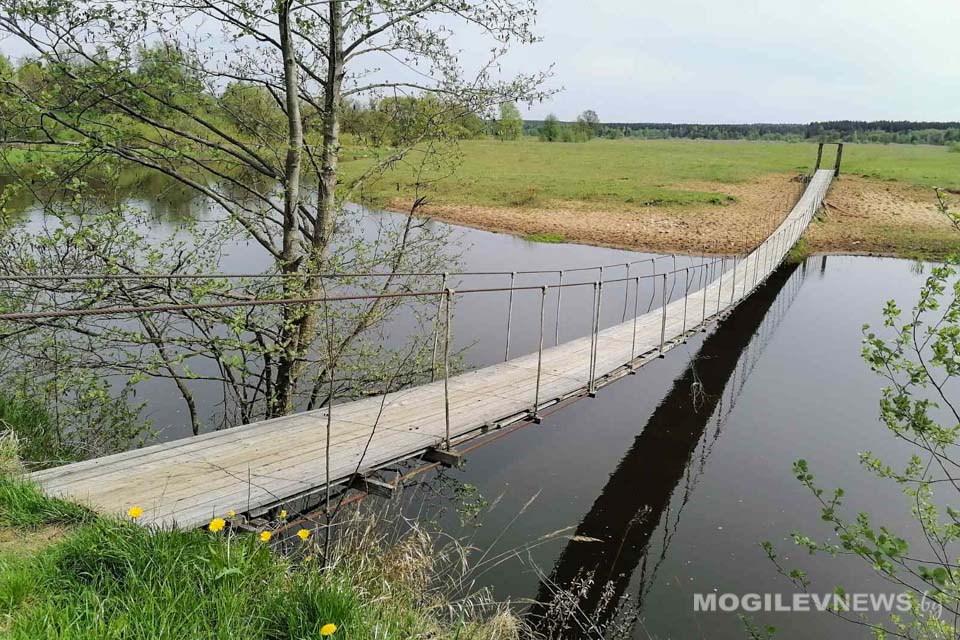 Заморозки и мокрый снег ожидаются во второй половине недели в Могилевской области
