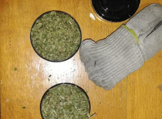 В производстве и сбыте марихуаны подозревают 26-летнего жителя Могилева