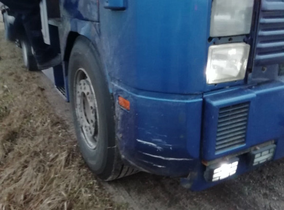 Грузовик в Чаусском районе насмерть сбил пешехода, внезапно вышедшего на дорогу