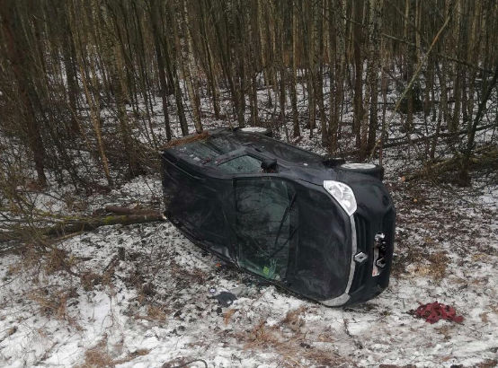 «Рено» в Костюковичском районе вылетел в кювет – водитель в реанимации