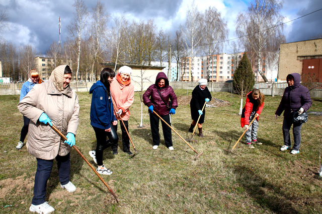Акцию «Яблоневый сад мира» провели в Климовичах