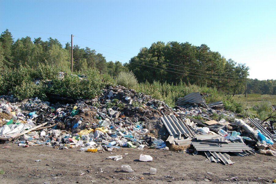 58 несанкционированных свалок  выявила санэпидслужба в январе в Могилевской области