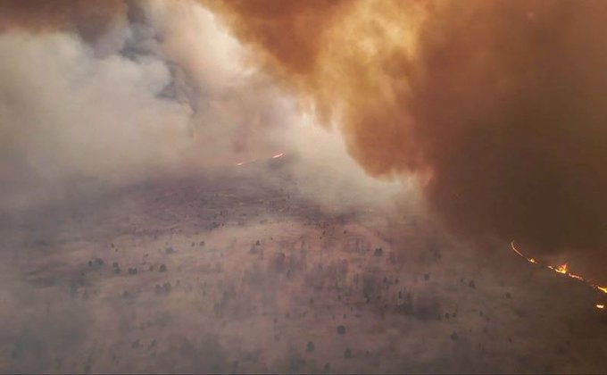 Превышений радиационных параметров из-за пожара в Чернобыльской зоне не зафиксировано - Белгидромет