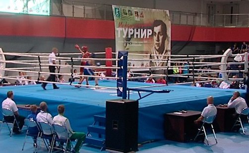 Представители Могилевской области выиграли награды на международном турнире по боксу
