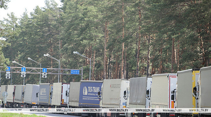 Более 820 фур ожидают выезда из Беларуси в ЕС