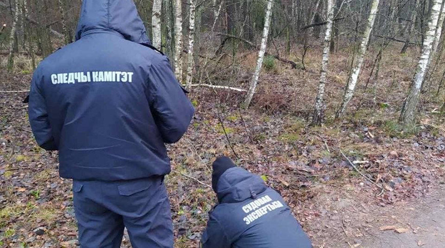 СК проводит проверку по факту очередного применения Польшей спецсредств в отношении беженцев