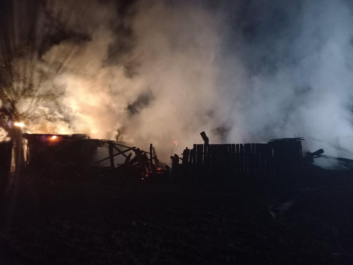 Два брата погибли на пожаре в Быховском районе