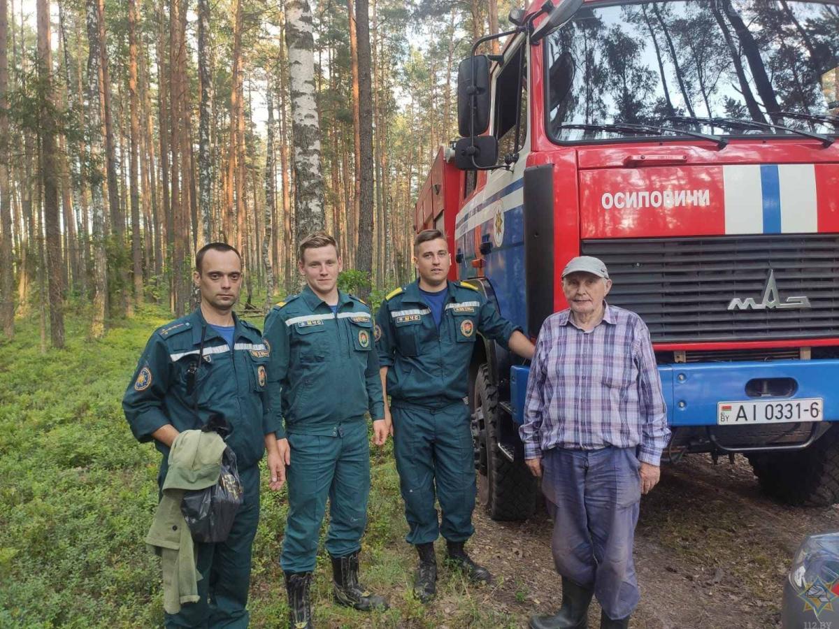 Спасатели нашли пенсионера, заблудившегося в лесу в Осиповичском районе