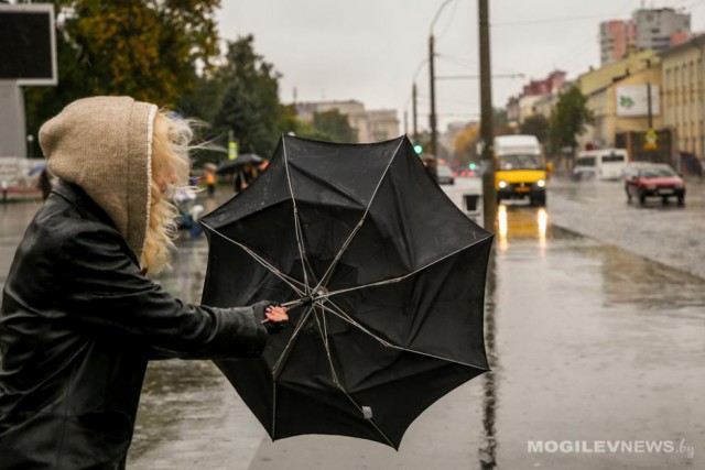 Во время дождя ГАИ рекомендует водителям соблюдать безопасную дистанцию и скоростной режим