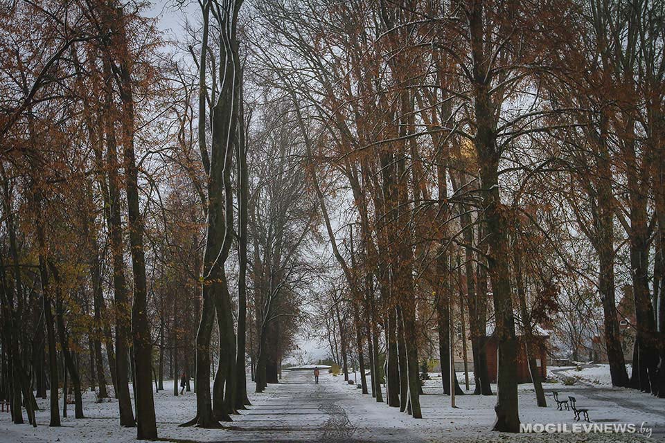 Погода на неделю: «плюс» днем, осадки, во вторник и среду - сильный ветер