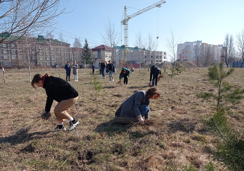 «Парк нашей мечты» создают ребята из школьного лесничества Костюковичской районной гимназии жители райцентра