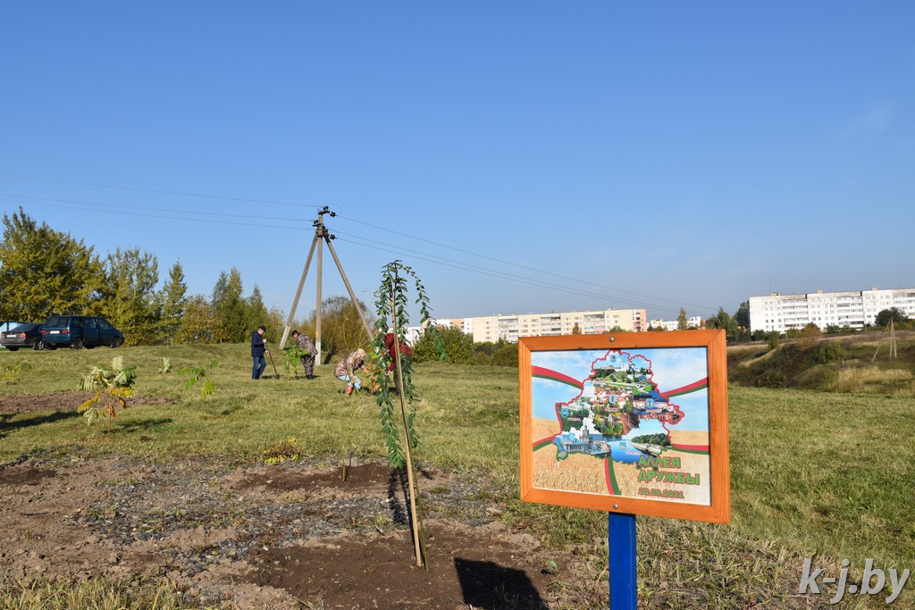 Аллею «Единства» заложили в Кричеве