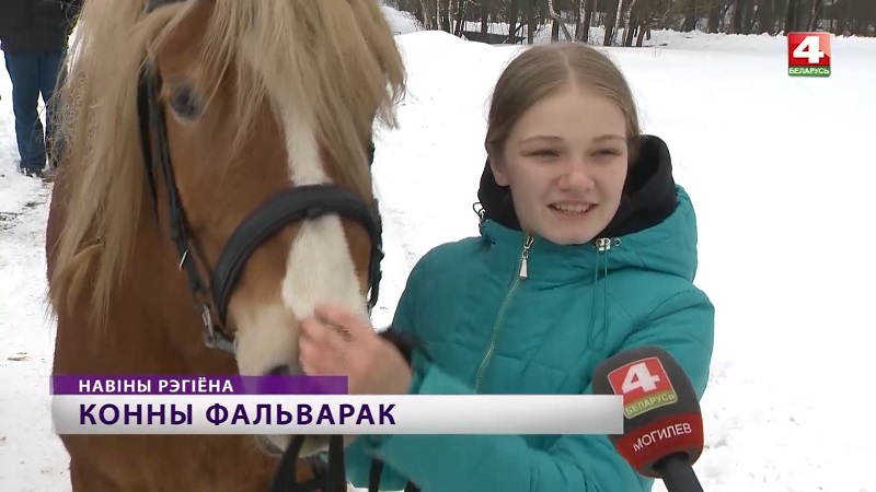 Конную усадьбу создают в Краснопольском районе. Видео