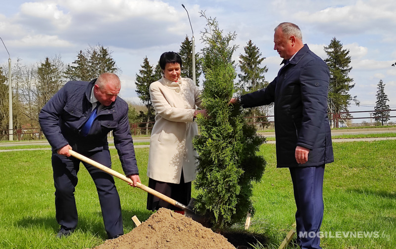 Депутаты Могилевской области высадили аллею в честь Года народного единства. Фото
