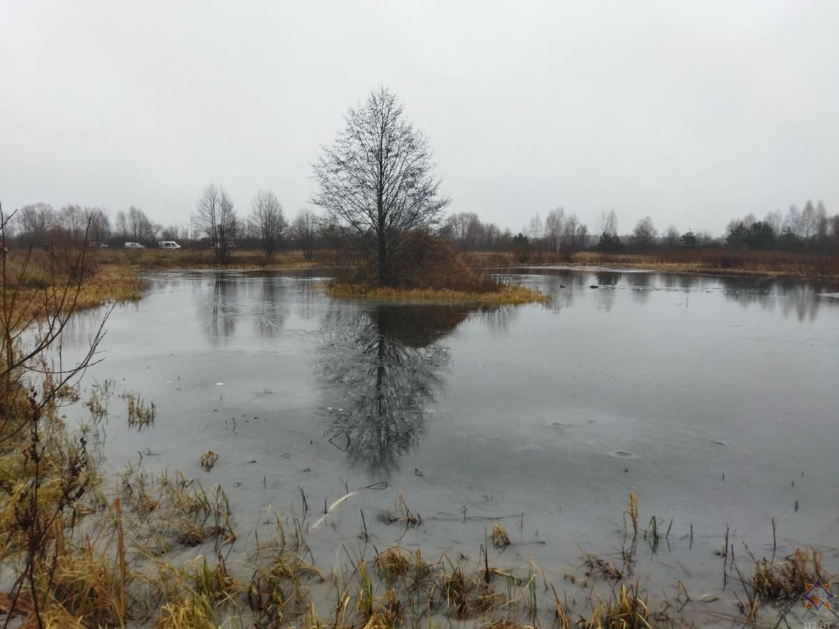 Местные жители спасли двоих рыбаков в Бобруйском районе