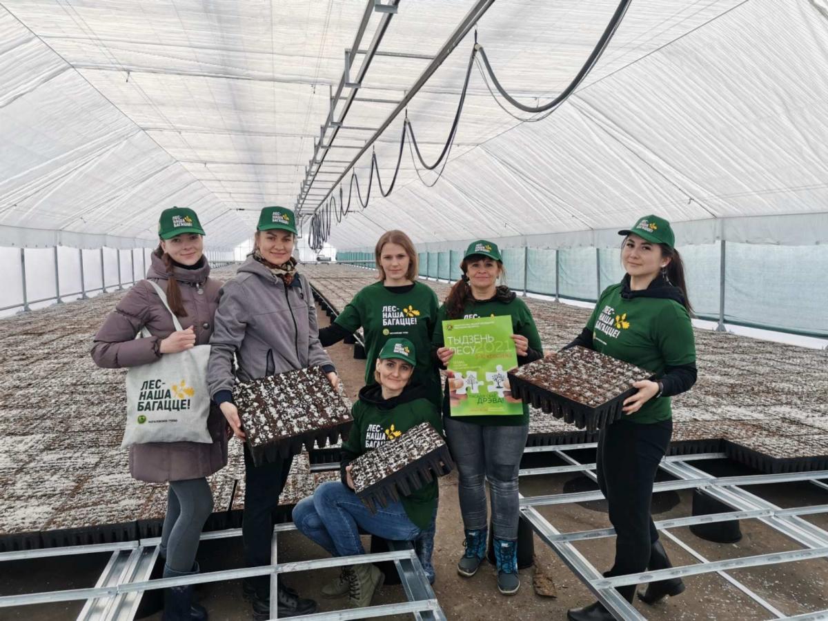 Хвойные и лиственные деревья высадил Могилевский лесхоз на 5 га. Фото