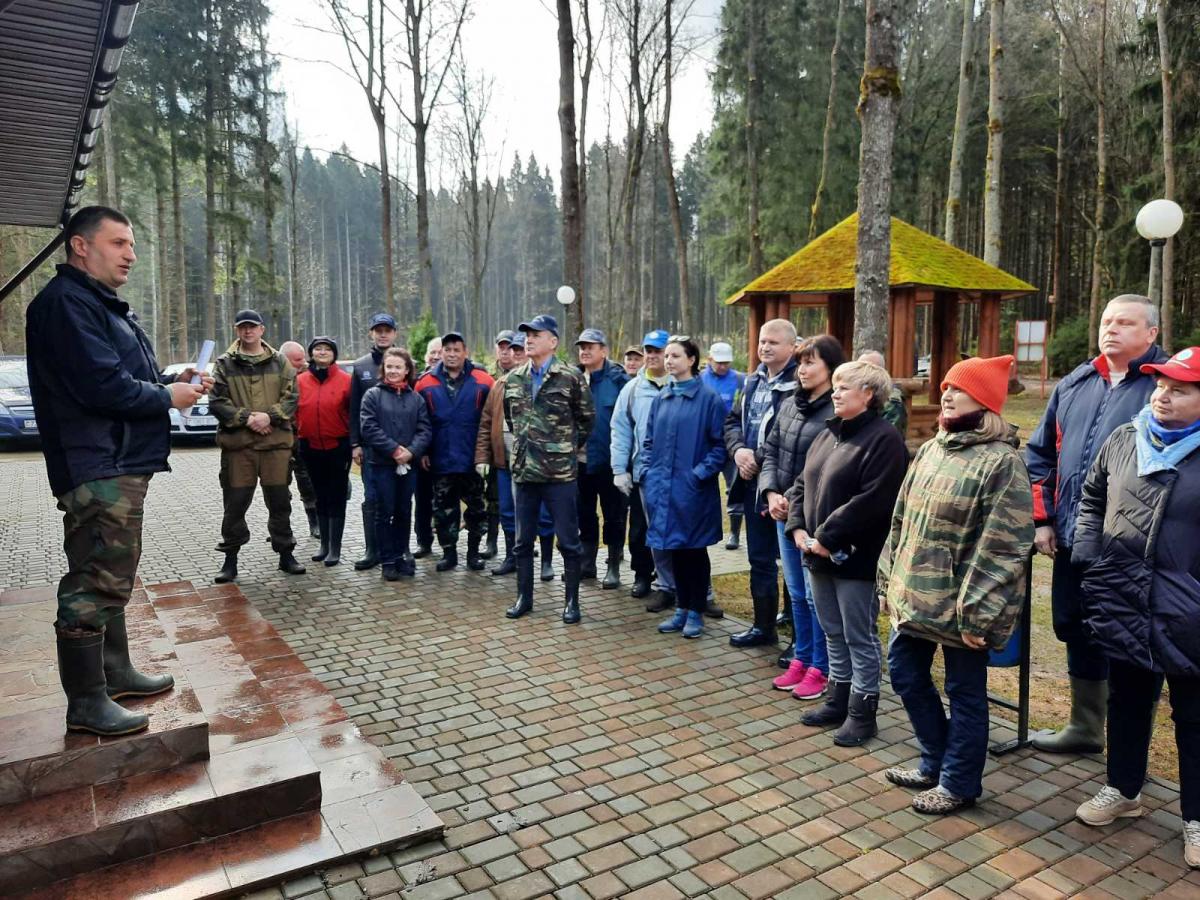 Более 3 тысяч деревьев высадили профсоюзы Могилевщины под Могилевом на республиканском субботнике. Фото