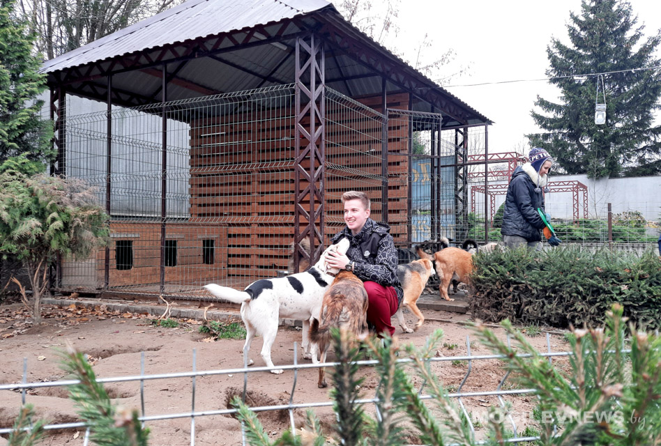 Волонтеры БРСМ «Доброе Сердце» посетили приют для бездомных животных. Фото