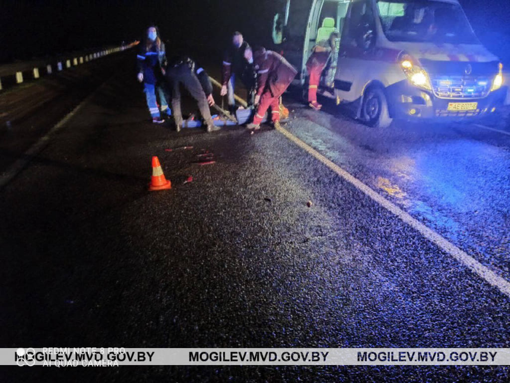 Фура насмерть сбила пешехода в Бобруйском районе