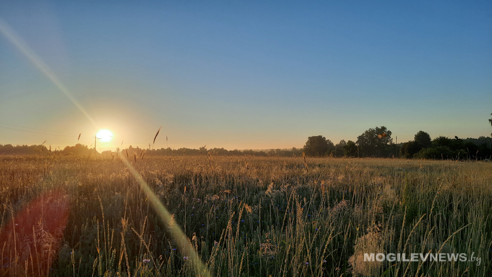 Повышение температуры воздуха и осадки ожидаются в первой половине следующей недели в Могилевской области